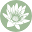 sadhanayoga.ca-logo